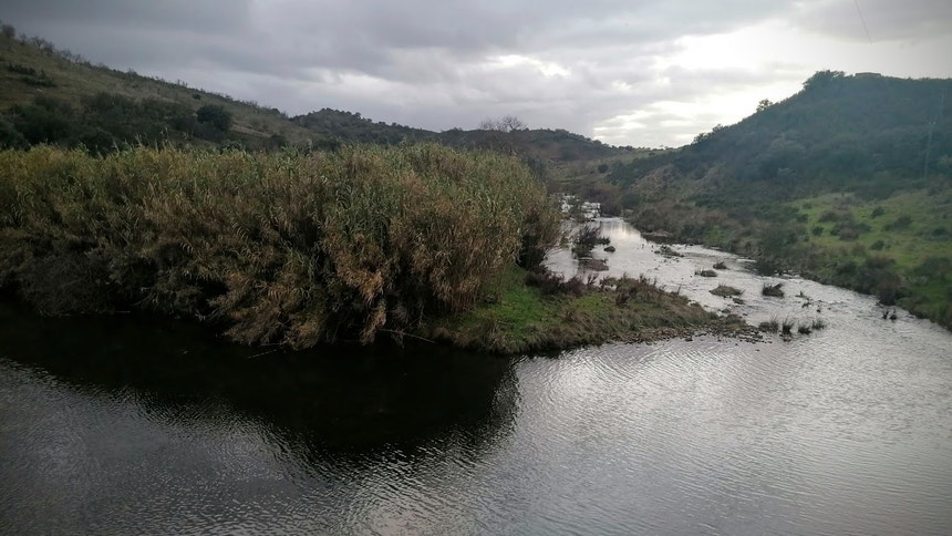 Imagem ilustrativa: Crimes ambientais na mira de ações com apreensão de resíduos e multas