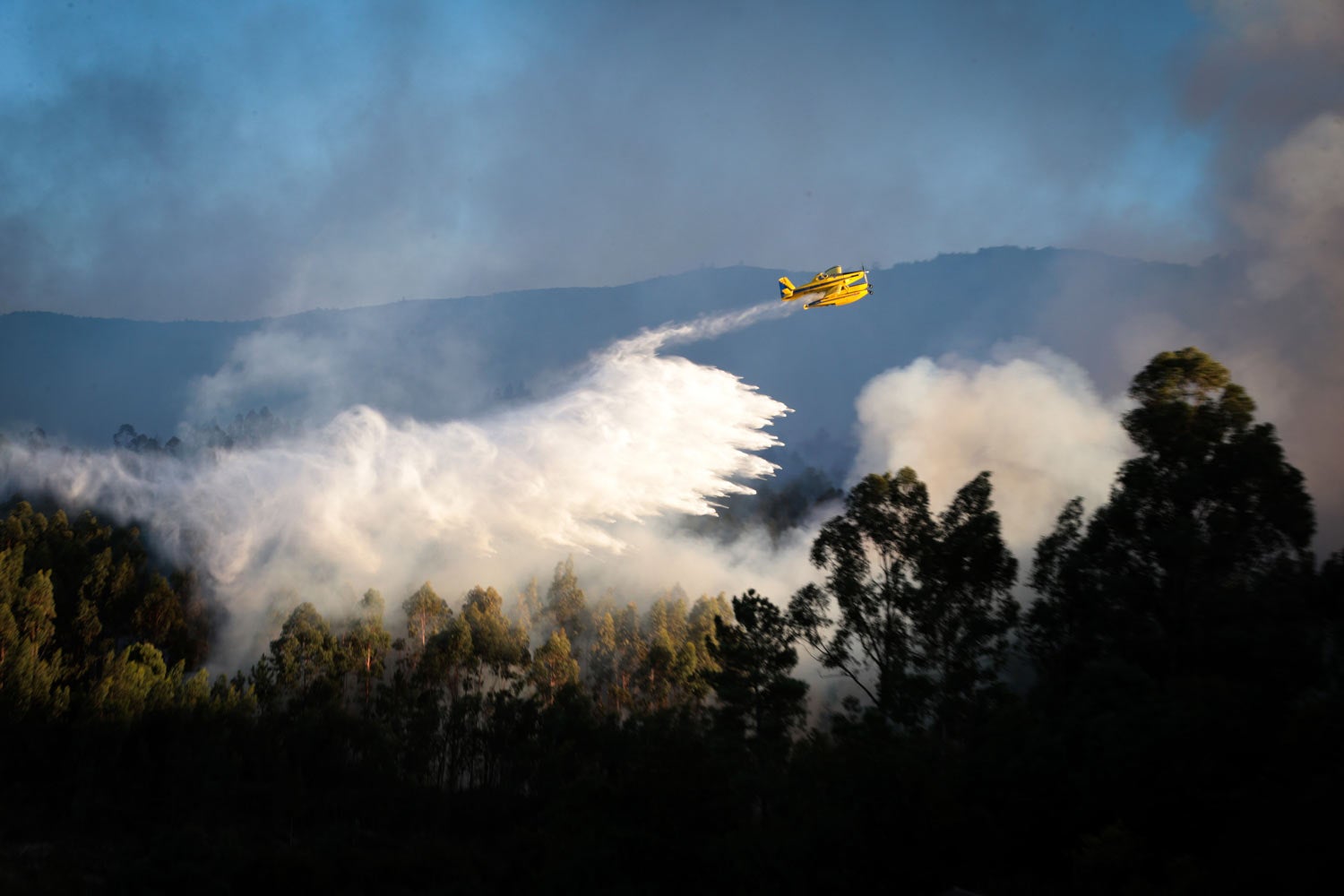 Mais de trinta concelhos de seis distritos do país com risco máximo de incêndio - Vimarsana News