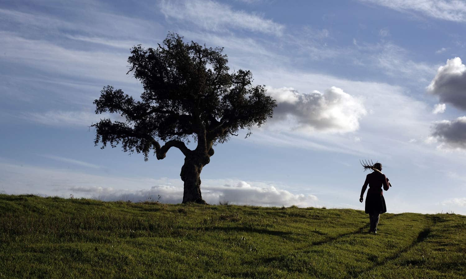 ZERO classifica intensifica��o agr�cola no Baixo Alentejo como desastre ambiental anunciado