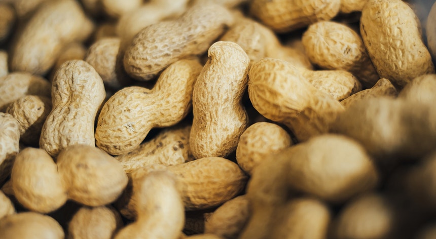 O tratamento precoce pode conter alergia ao amendoim em crianças
