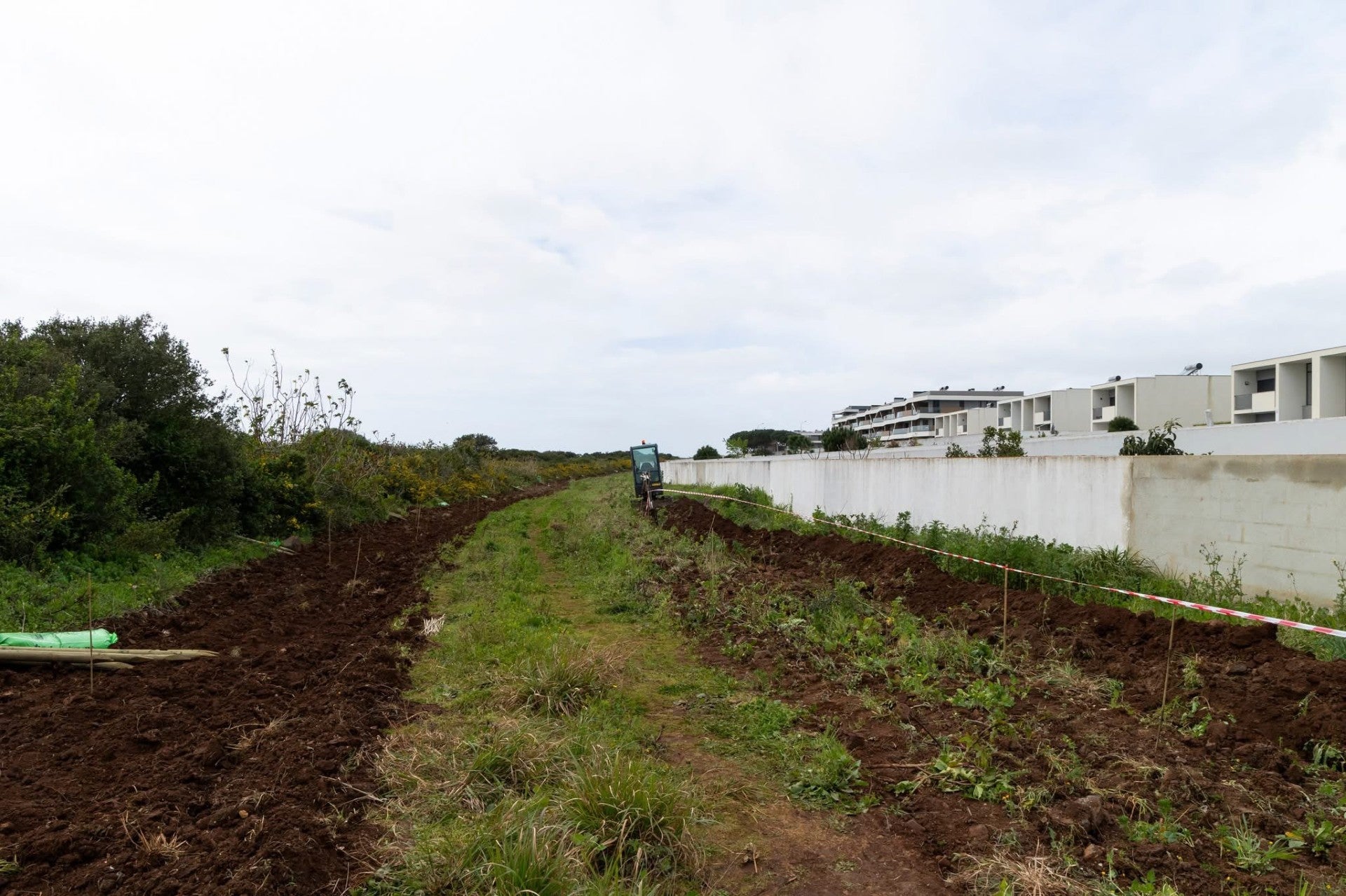 Isaltino says Amadora City Council is 'invading' Oeiras territory and wants to build a wall of trees to separate the territories