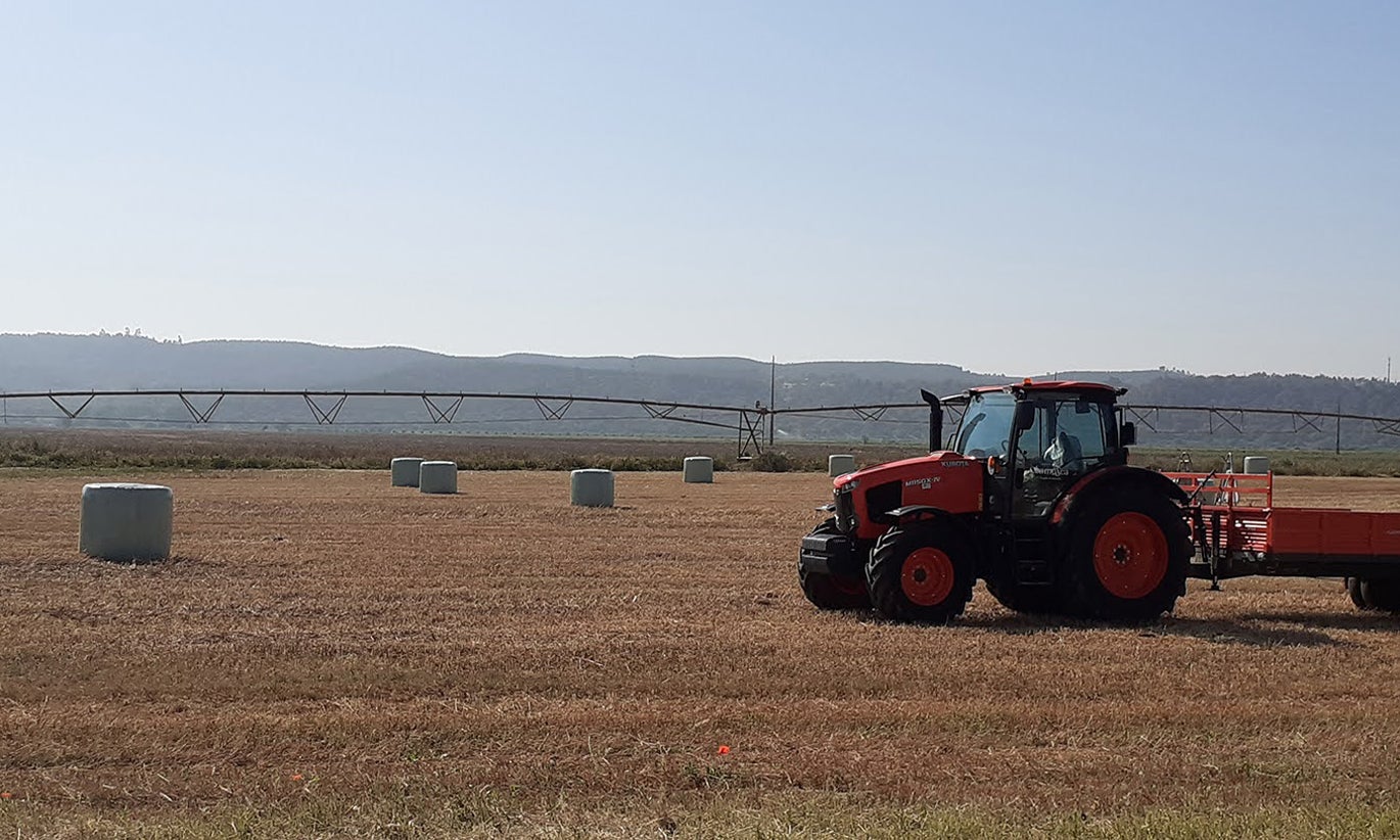 Agricultores satisfeitos com protocolo de migração regulada e afastam criação de novos canais