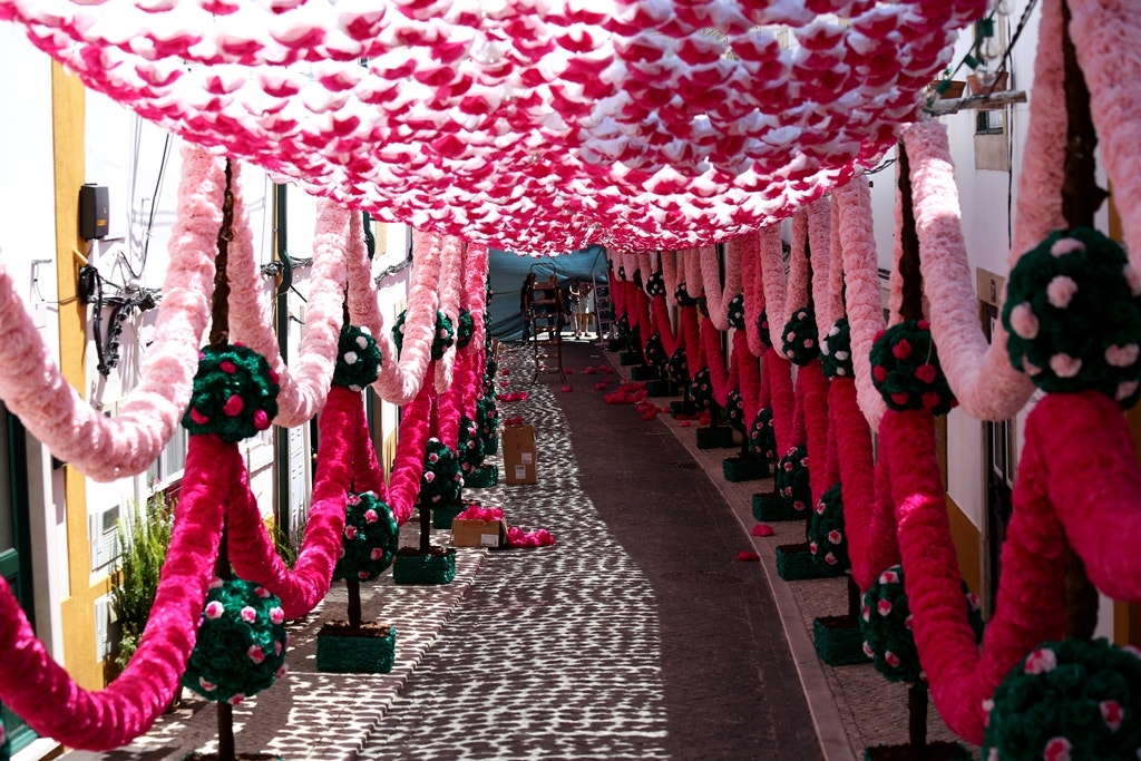  Nuno Patr&iacute;cio - RTP 