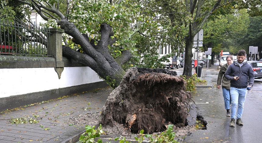 Imagem ilustrativa da notícia Porto. Tempestade Kirk provoca mais de uma centena de ocorrências