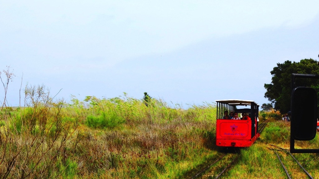  Enviada por Raul Barreto  