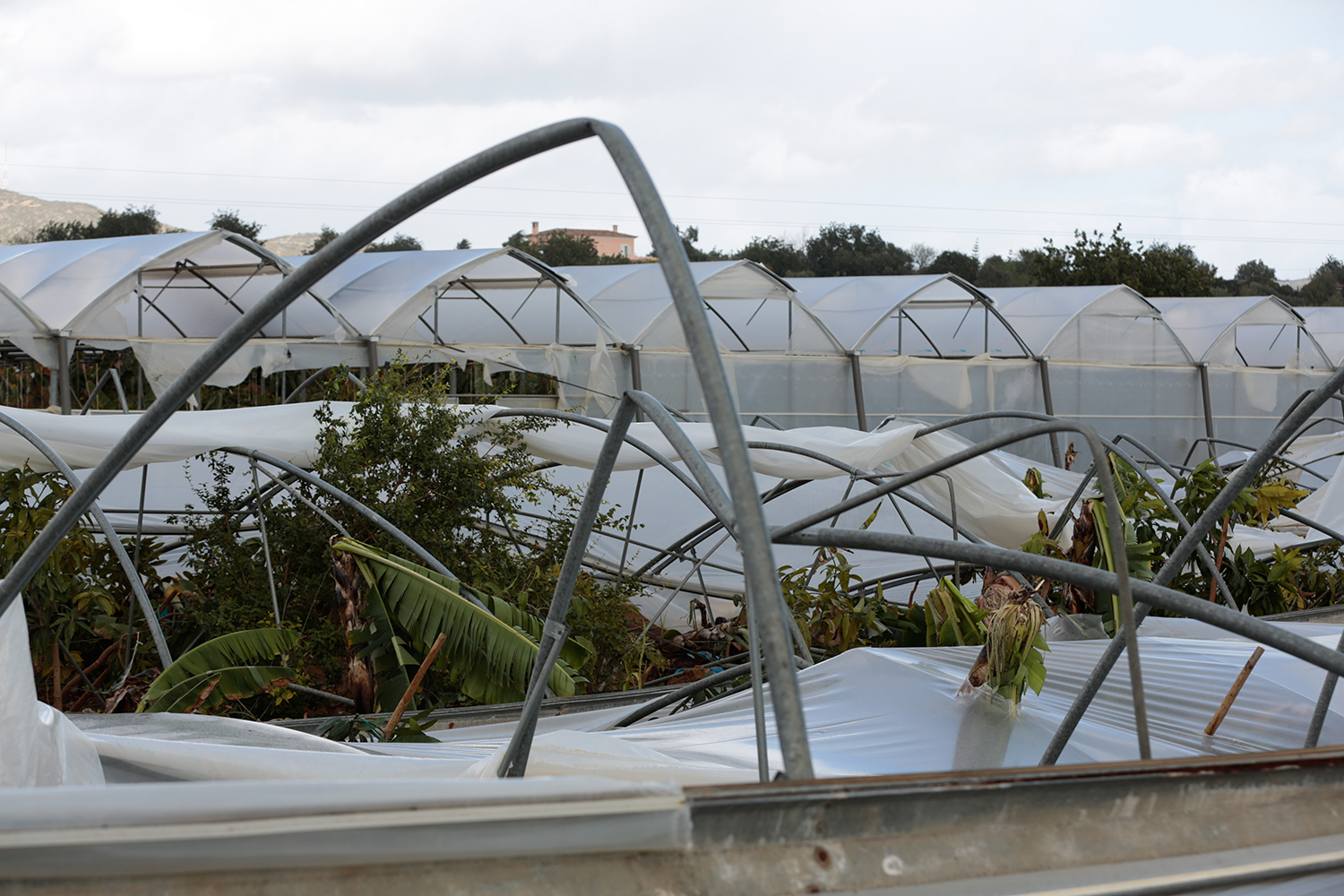  Cr&eacute;dito: Filipe Farinha - Lusa 