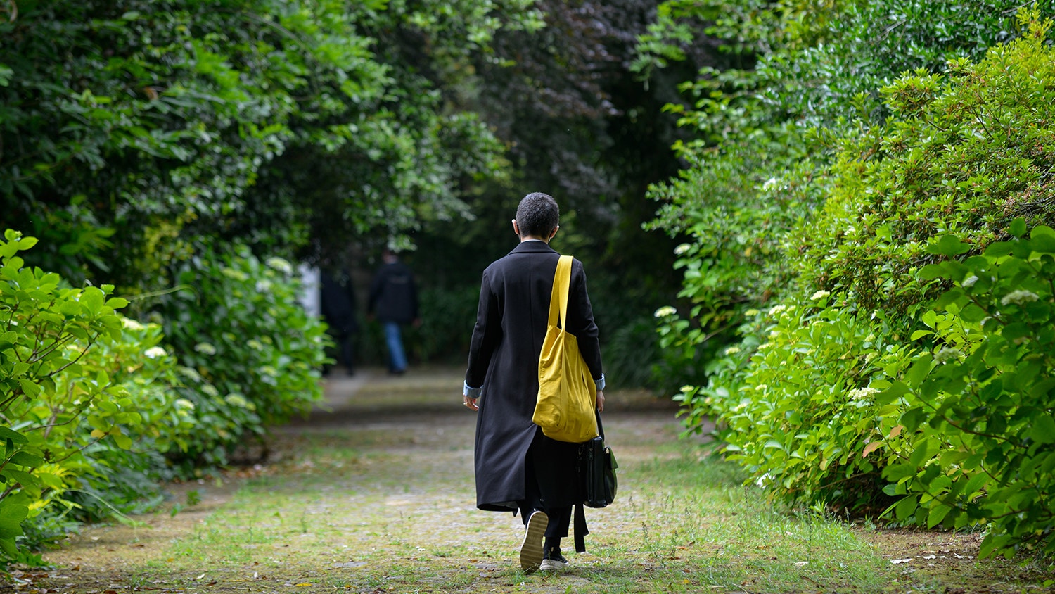  Foto: David Ara&uacute;jo - RTP 