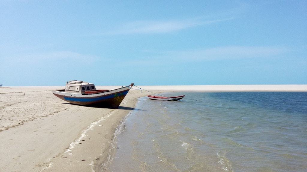  Enviada por T&acirc;nia Filipa  