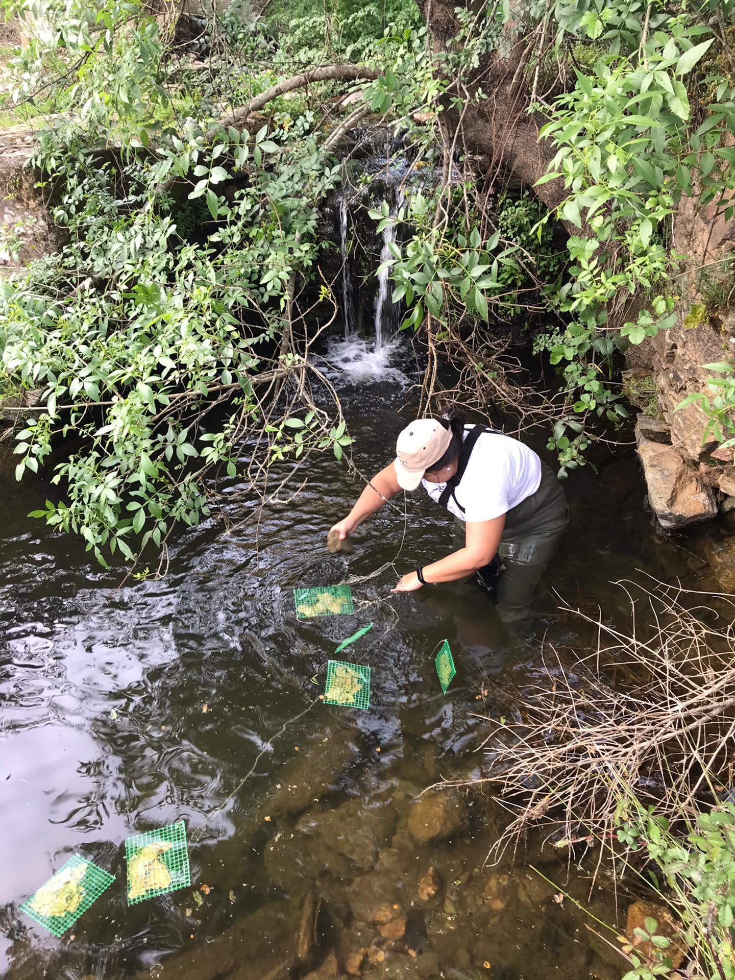Investigadores alertam que avaliação da saúde dos rios em Portugal está incompleta