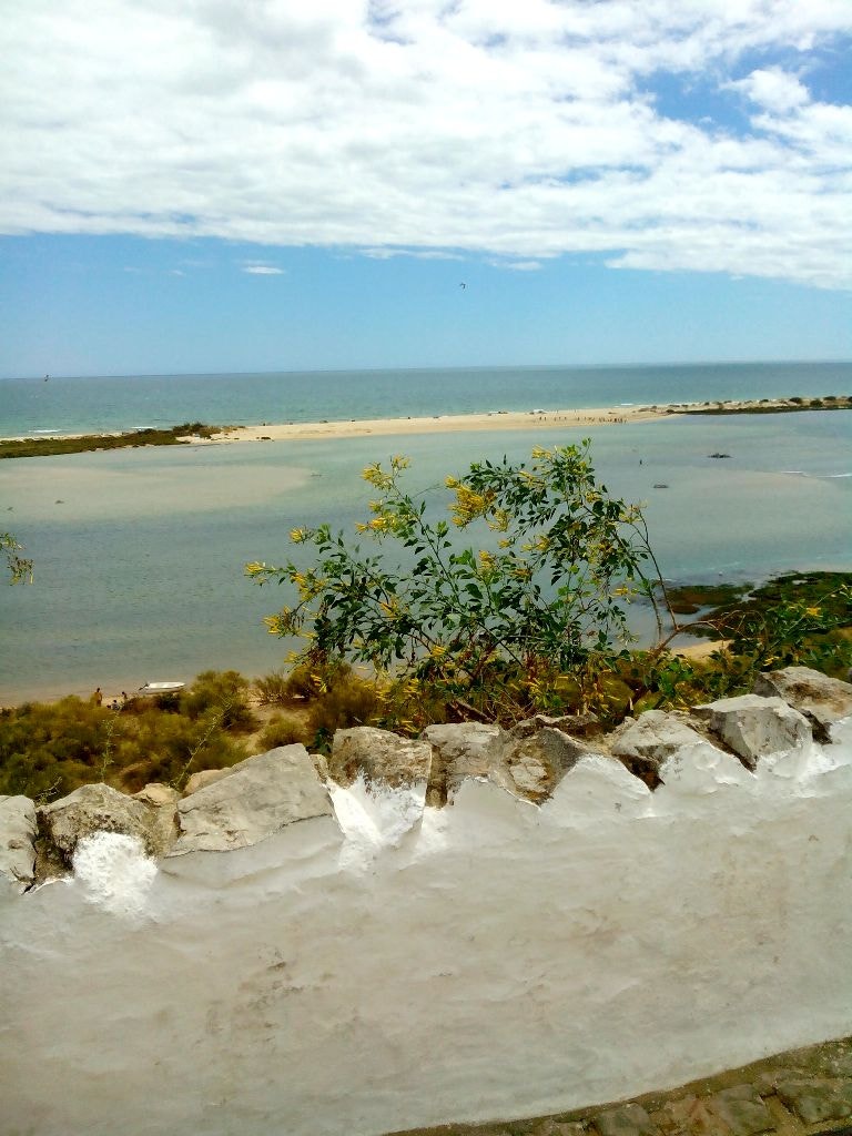  Enviada por M&oacute;nica Viana 