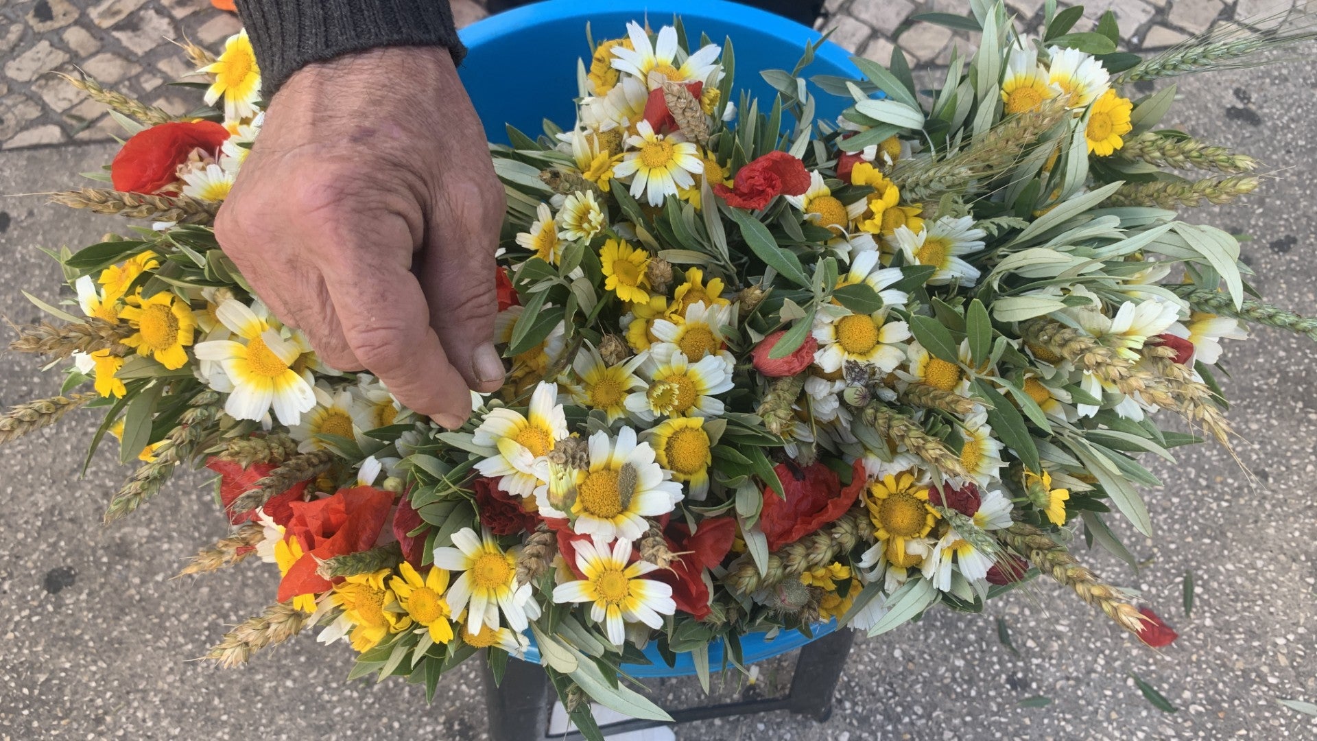 Dia da Espiga. Tradição de compra do ramo mantém-se viva em Lisboa