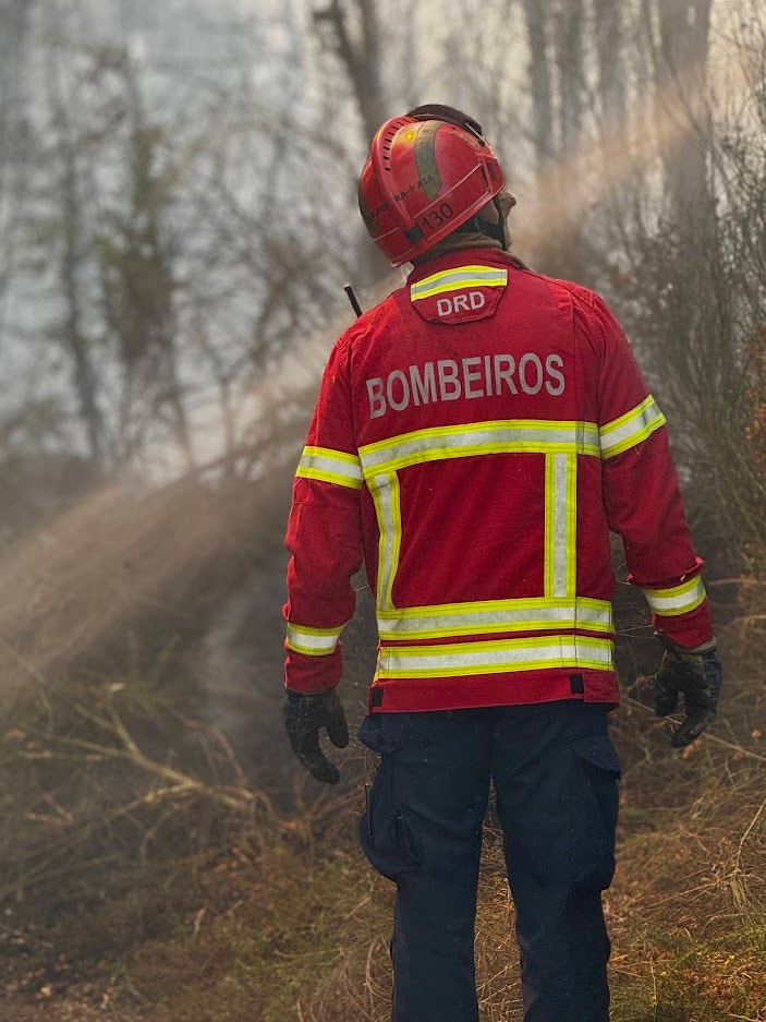 Alerta do IPMA. Perigo de incêndio rural muito elevado a máximo no Norte, Centro, Alto Alentejo e Algarve