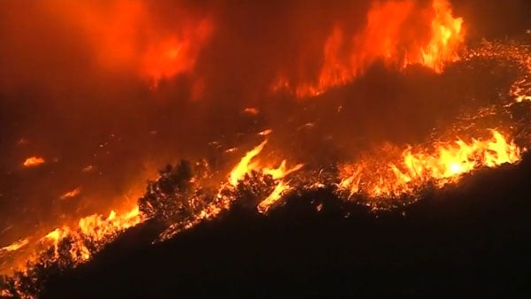 Investigador Xavier Viegas alerta para aumento de fogos devido à rede elétrica