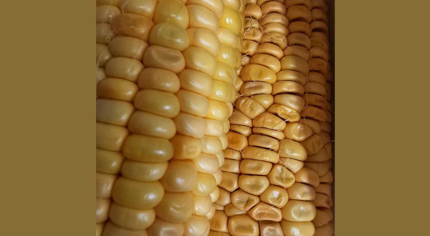  Glasgow, Reino Unido | Tiago Passos - RTP 