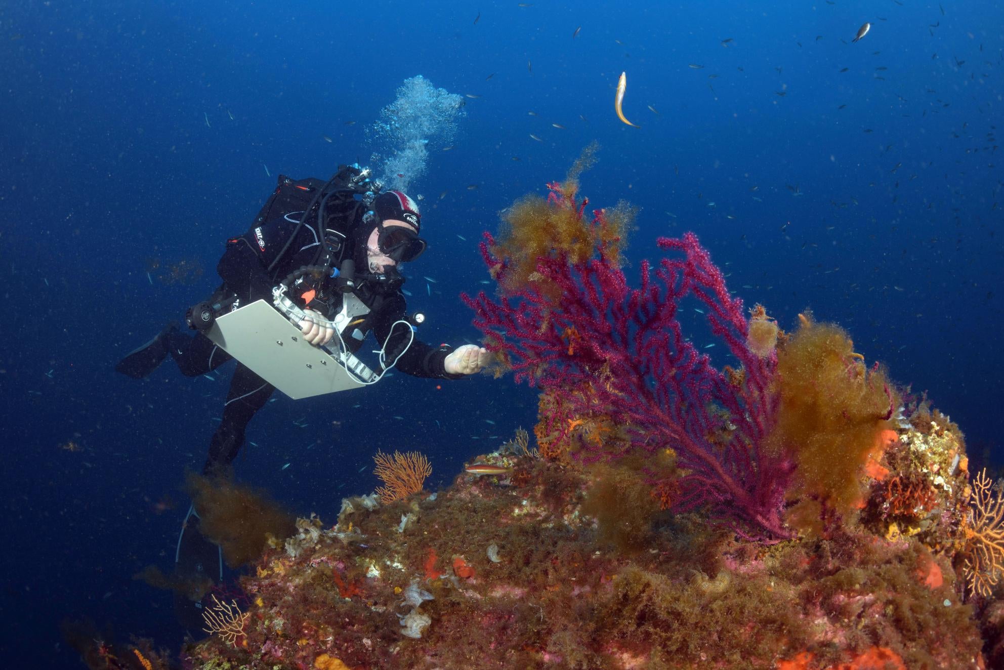 Portugal vai contribuir com 75 milhões de euros para projeto europeu sobre oceanos afirmou Montenegro