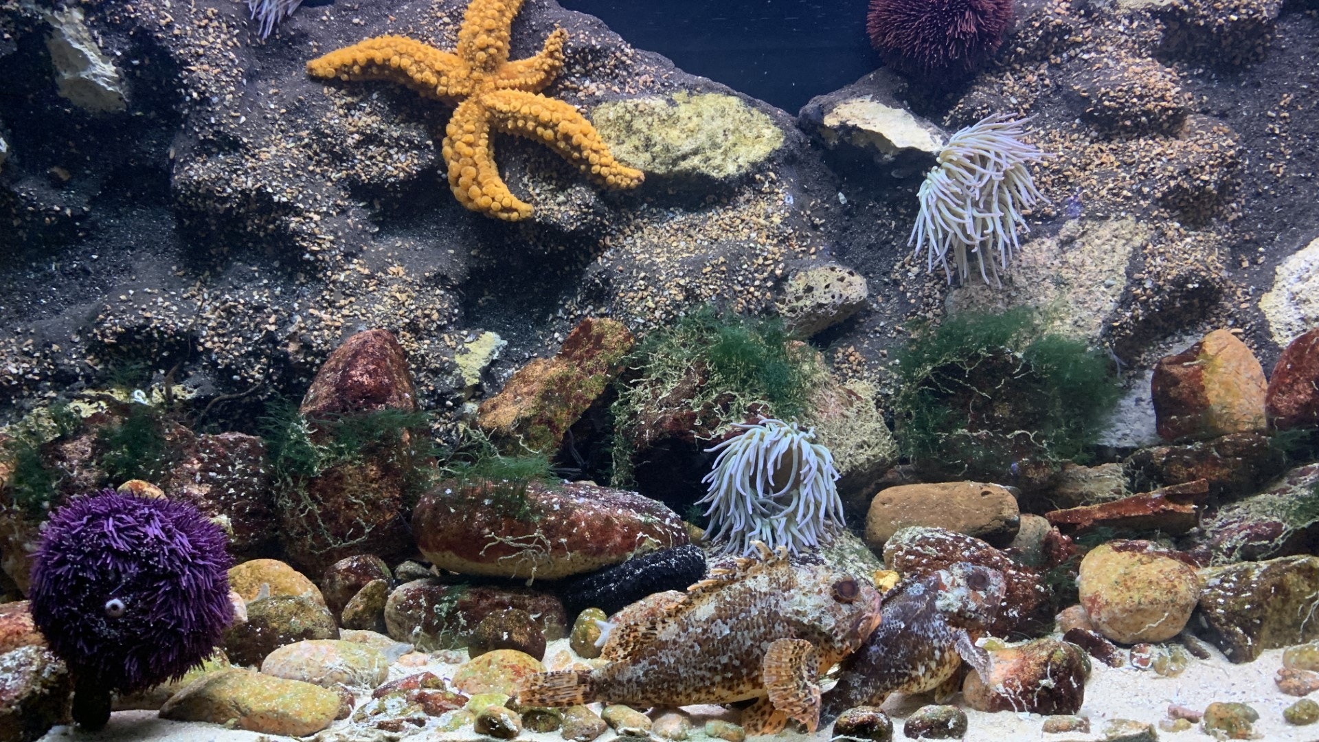  Foto: Arlinda Brand&atilde;o - Antena 1 