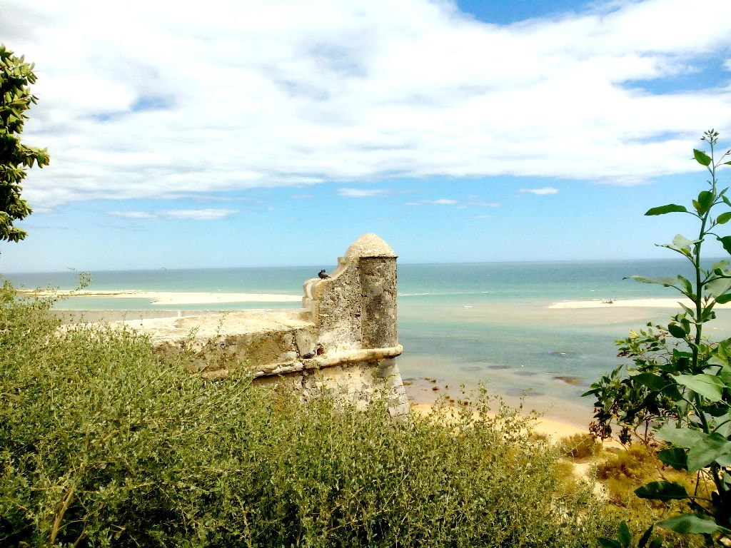  Enviada por Terese Brito  