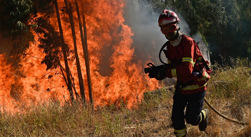 Milhares de bombeiros combatem grandes incêndios
