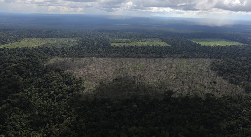 Vastas áreas da Amazónia estão a ser desflorestadas de forma ilegal. Foto: Nacho Doce - Reuters