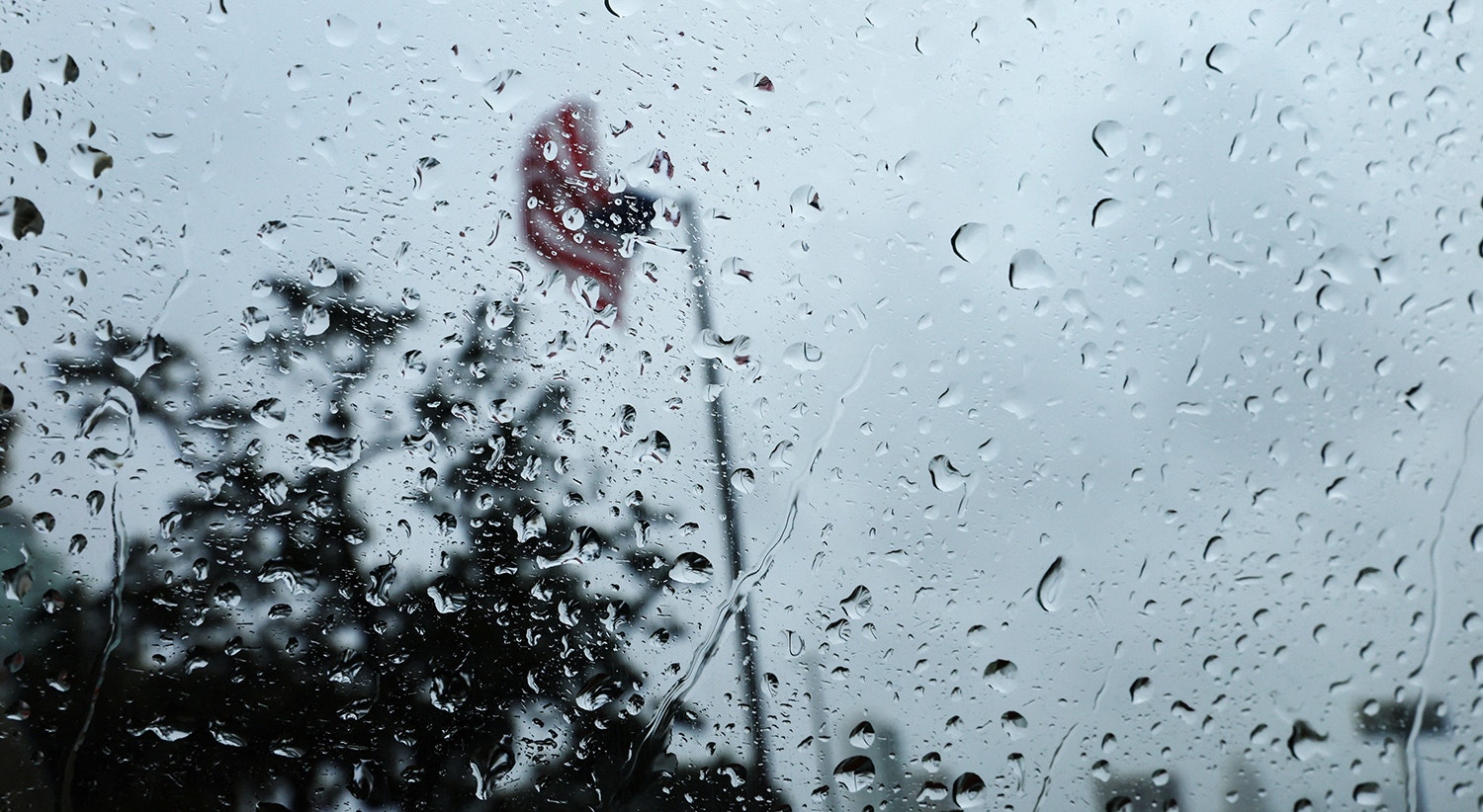  Shannon Stapleton - Reuters 