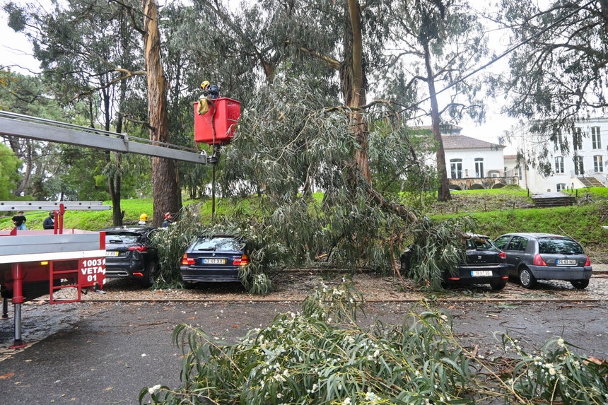 Depressão Cláudia. A evolução do mau tempo em Portugal