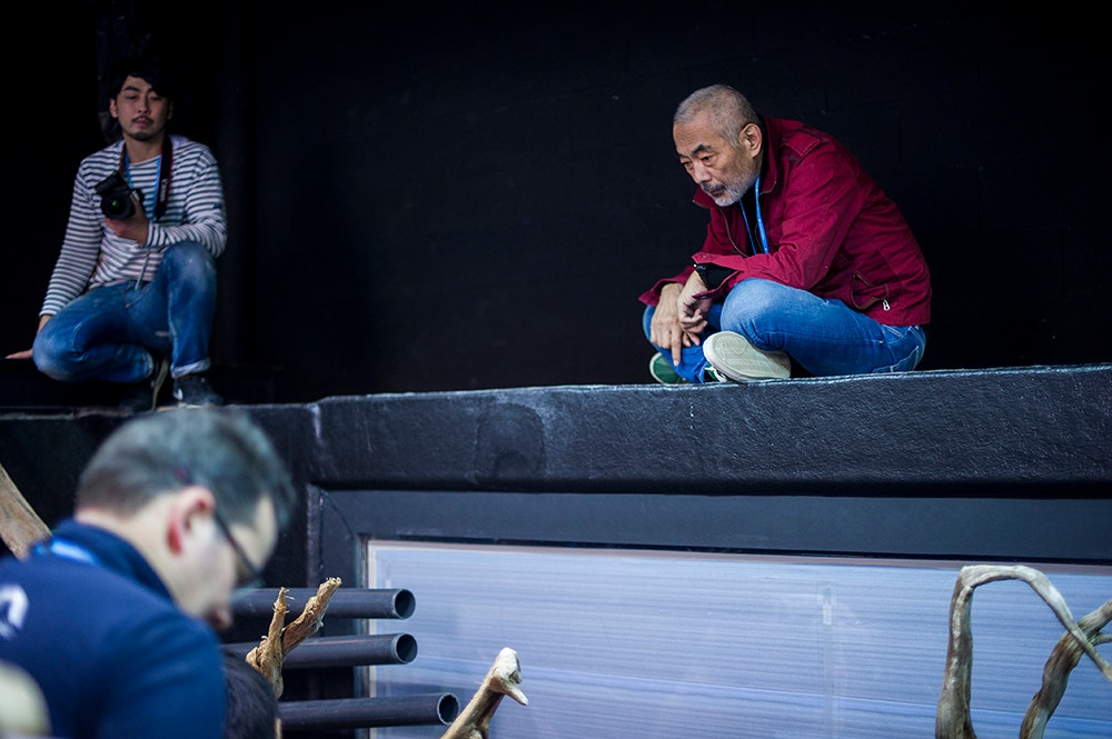  Pedro A. Pina / Ocean&aacute;rio  