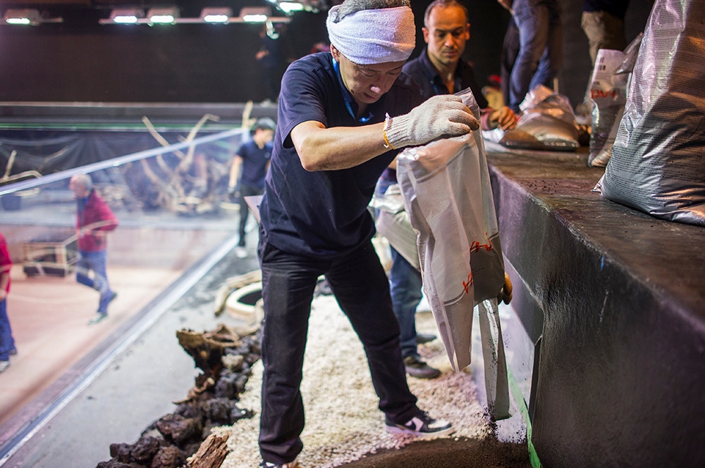  Pedro A. Pina / Ocean&aacute;rio  