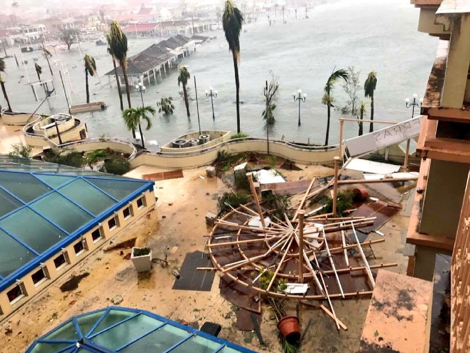  Twitter: Argenis-Madriz - @amg9847 