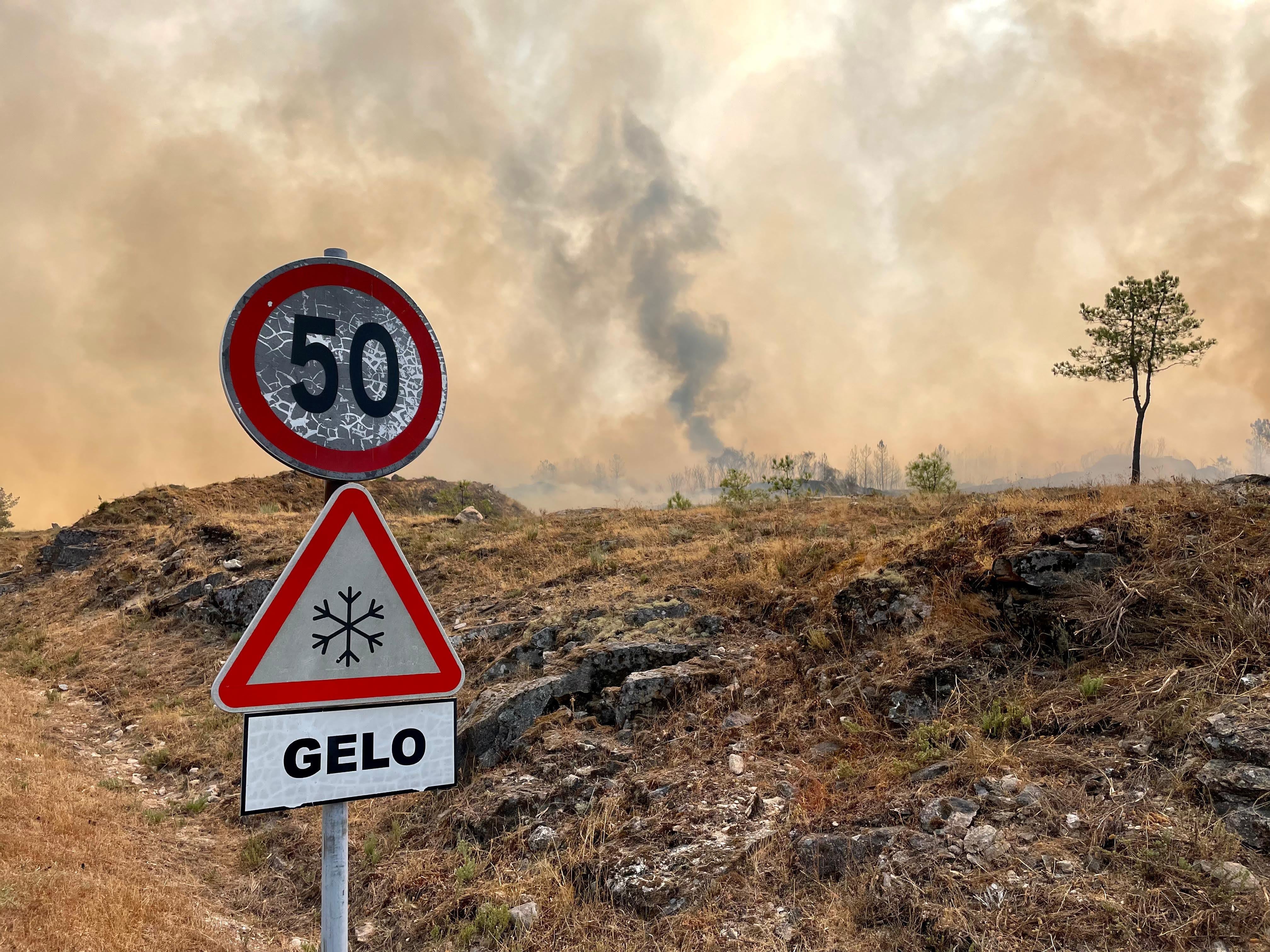 Quase 60 concelhos do interior e Algarve em risco máximo de incêndio