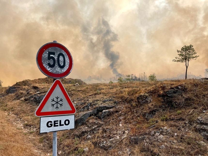 Imagem de Quase 60 concelhos do interior e Algarve em risco máximo de incêndio