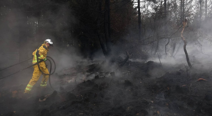 Incêndios na Europa. Casal de idosos morre na Grécia e chuva ajuda no combate ao fogo na Bélgica