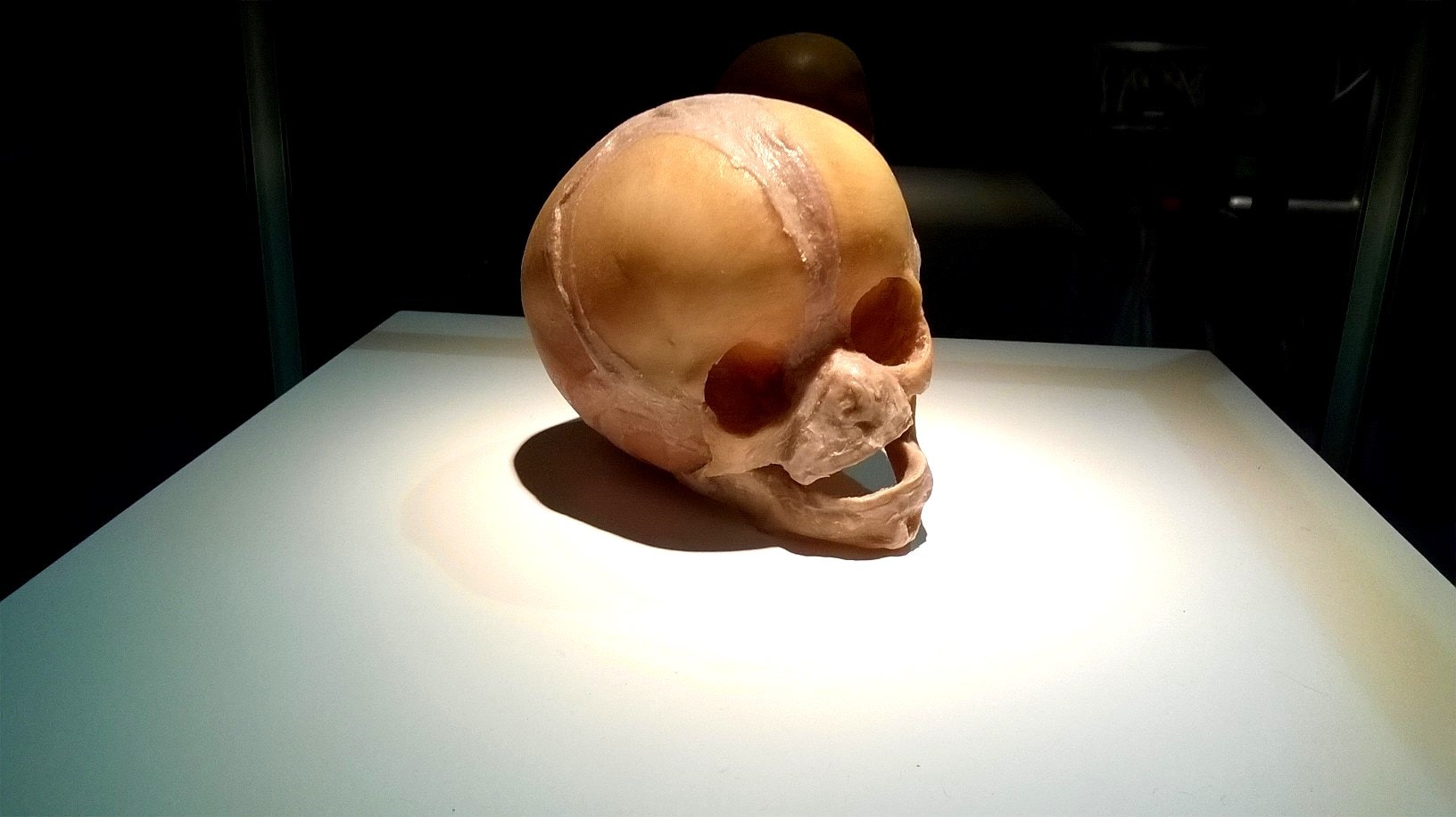  Cr&eacute;ditos: Alexandra Sofia Costa  - Antena 1 - RTP  