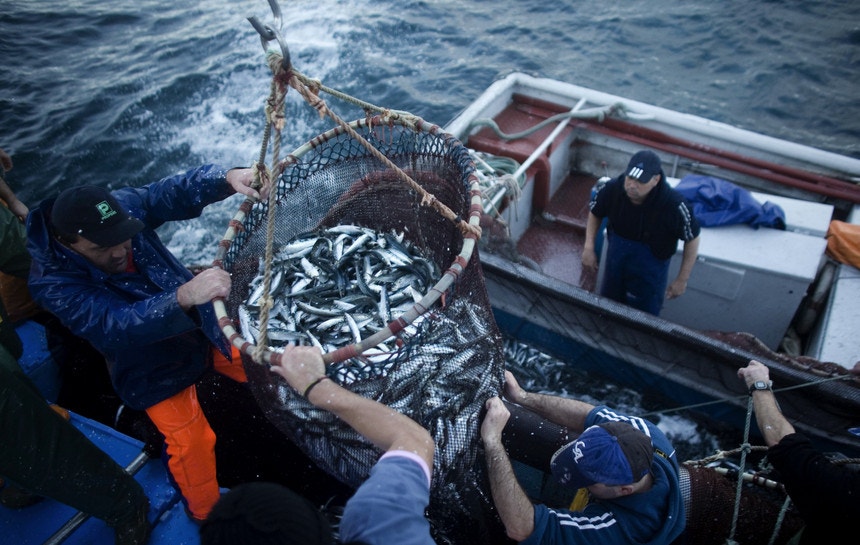 As áreas da agricultura e pescas e do alojamento e restauração são aquelas em que menos se ganha
