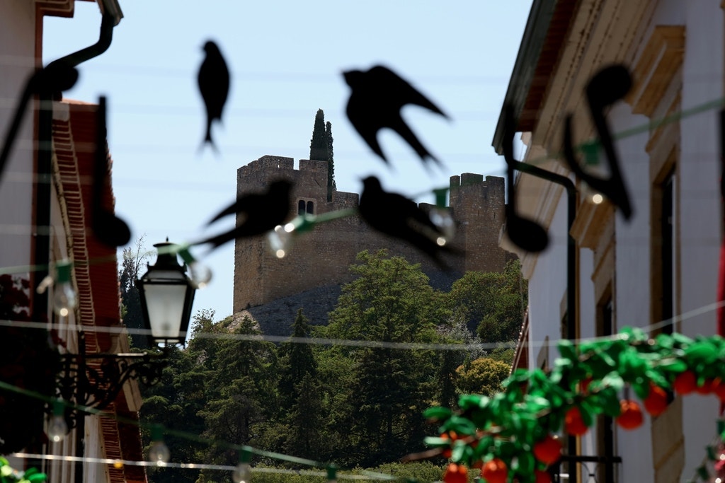  Nuno Patr&iacute;cio - RTP 