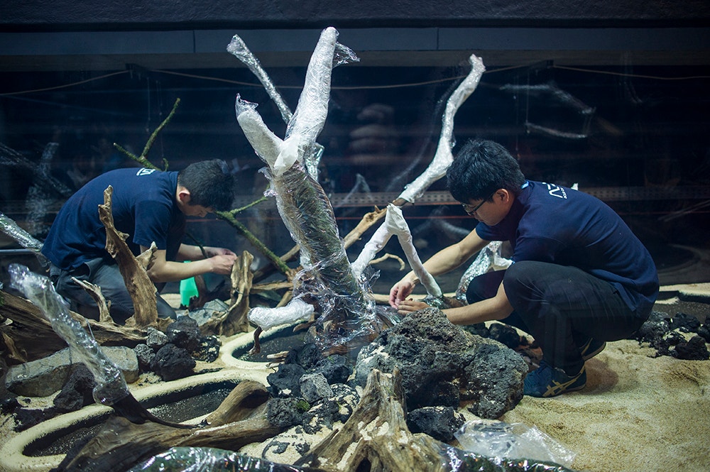  Pedro A. Pina / Ocean&aacute;rio  