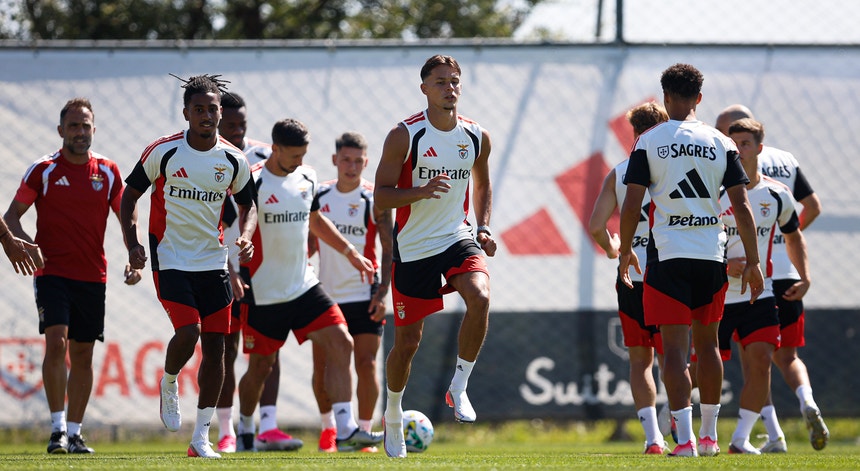 Imagem de Por 35,9 milhões de euros. Amar Dedic troca o Benfica pelo Newcastle
