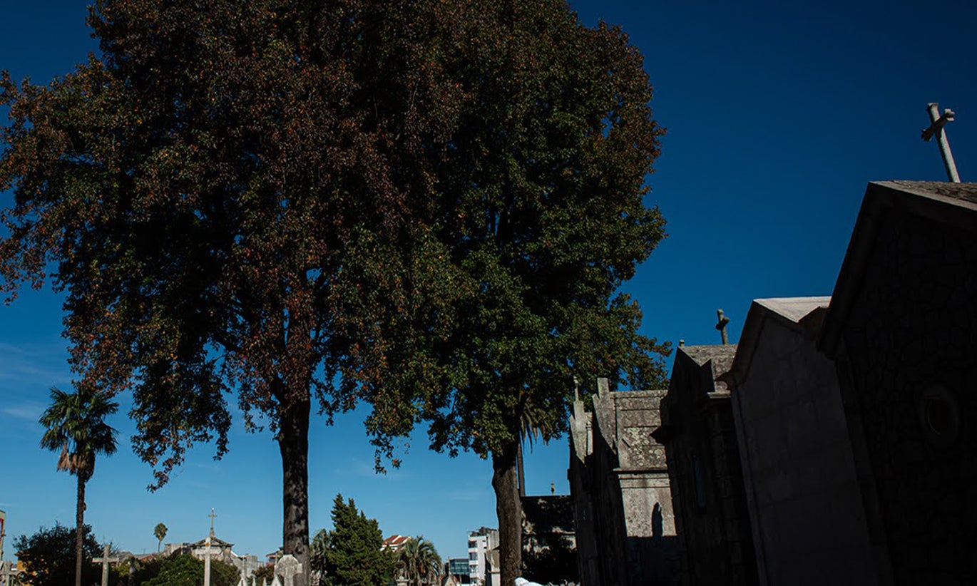 Governo aprovou aumento do subsídio de funeral para menores para 1.611 euros