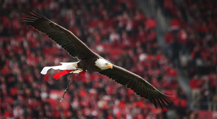 O Benfica em cinco pontos contestou a notícia que avança a hipótese de interdição do Estádio da Luz
