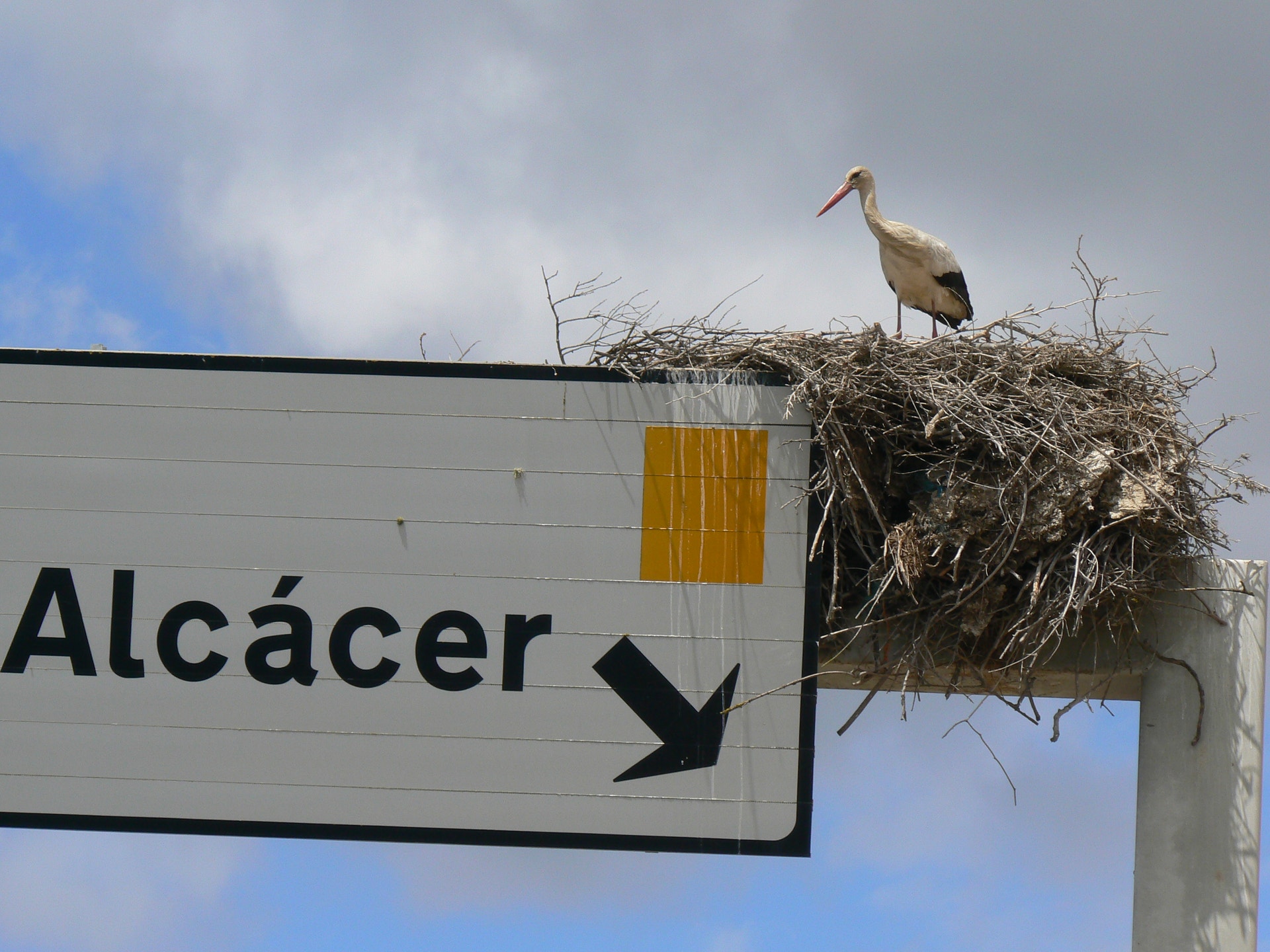  Enviada por Rui Afonso 