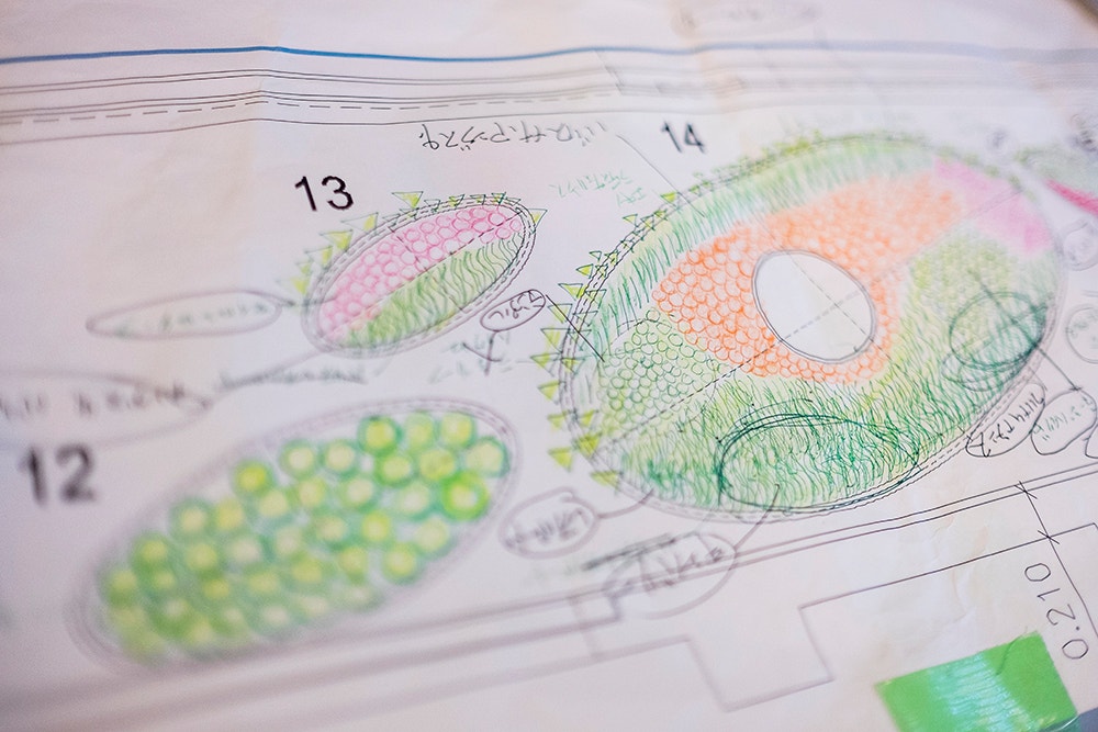  Pedro A. Pina / Ocean&aacute;rio  