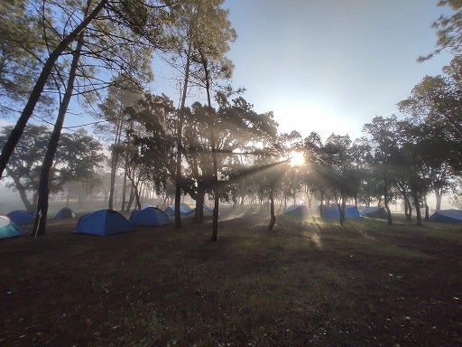 Parque dos Guardiões da Floresta Sintrense abre domingo com espaço para acampar na Serra
