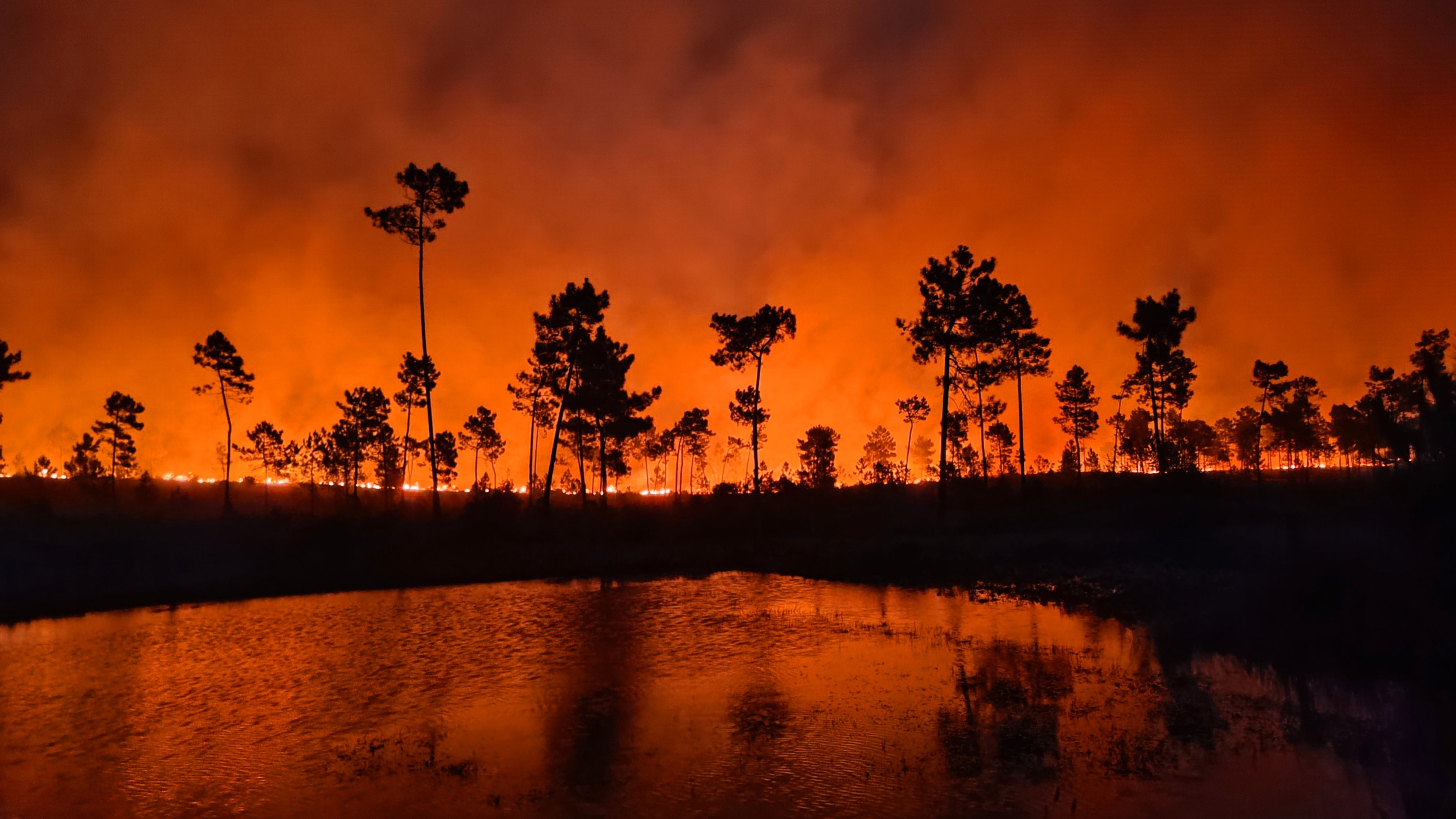 Incêndio na Amora. Meios continuam no terreno atentos a possíveis ...