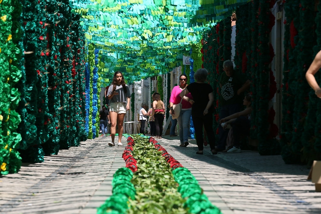  Nuno Patr&iacute;cio - RTP 