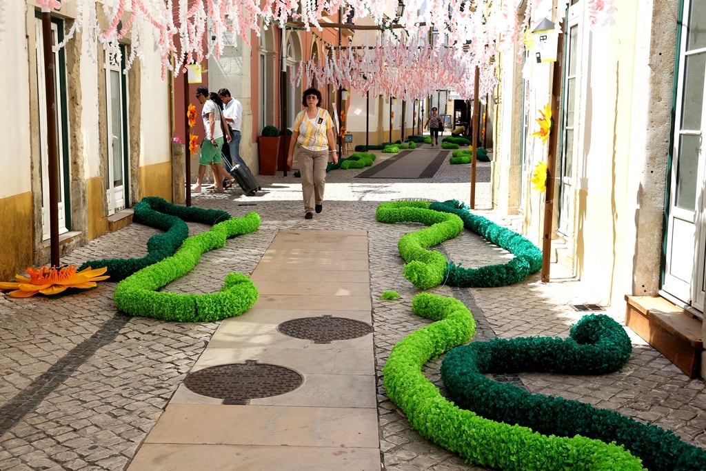  Nuno Patr&iacute;cio - RTP 