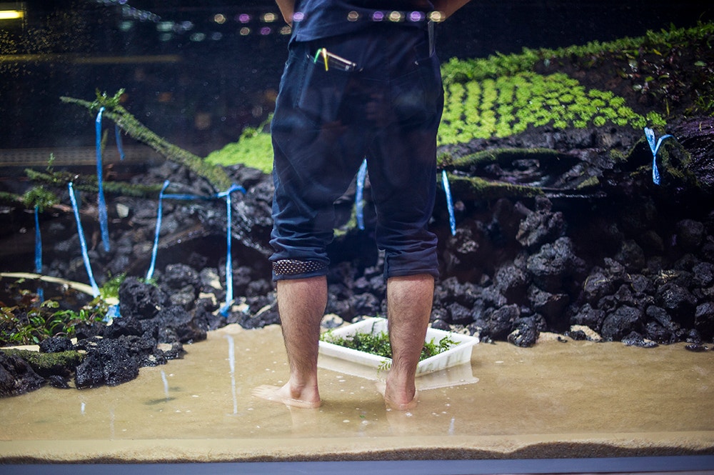  Pedro A. Pina / Ocean&aacute;rio  