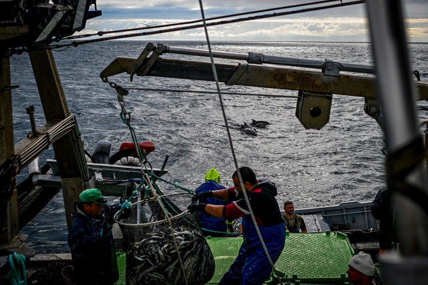 Imagem de Governo apresenta 3,5 milhões de euros em apoios 