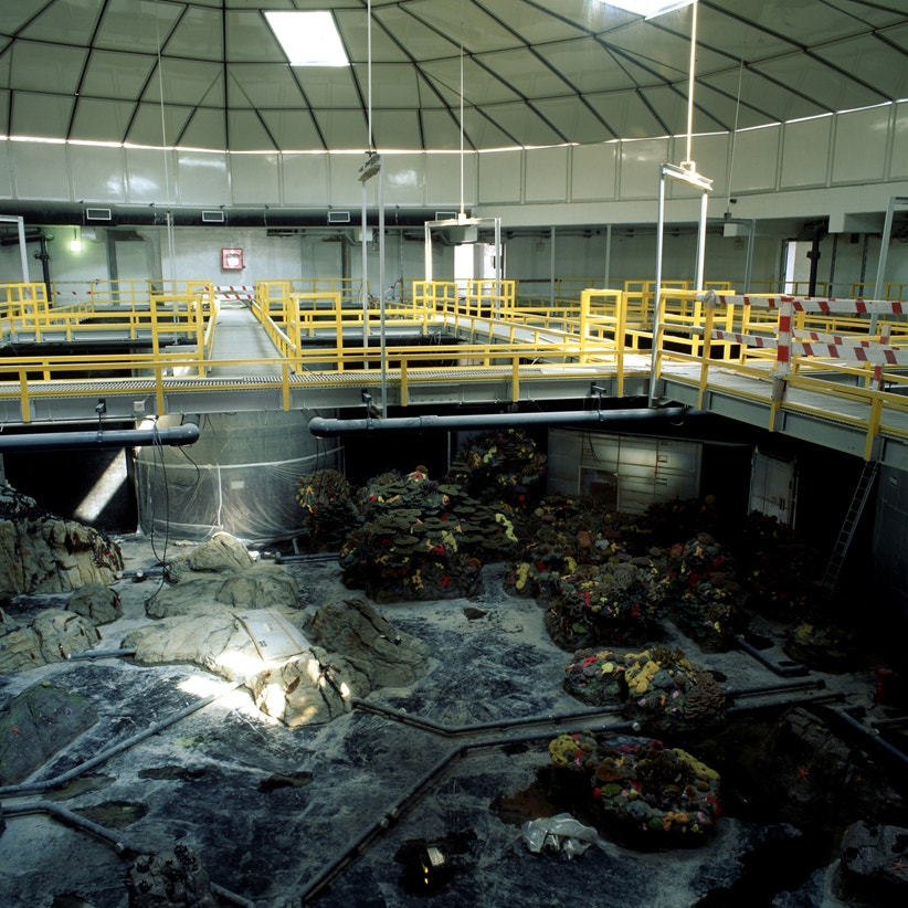  Decora&ccedil;&atilde;o do aqu&aacute;rio central, 1997 | Ocean&aacute;rio de Lisboa  