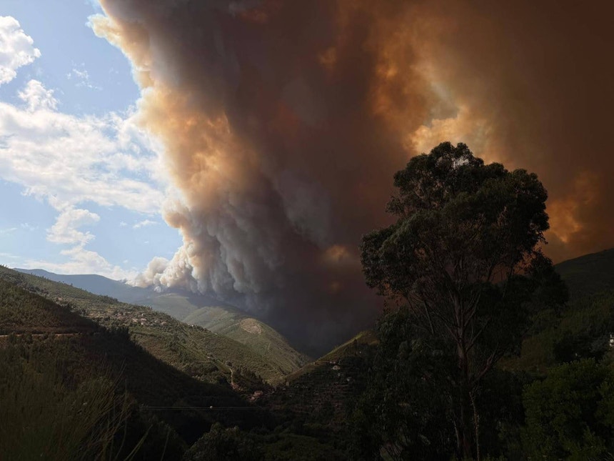 Imagem de Incêndios. 2025 ficou marcado por condições meteorológicas exigentes