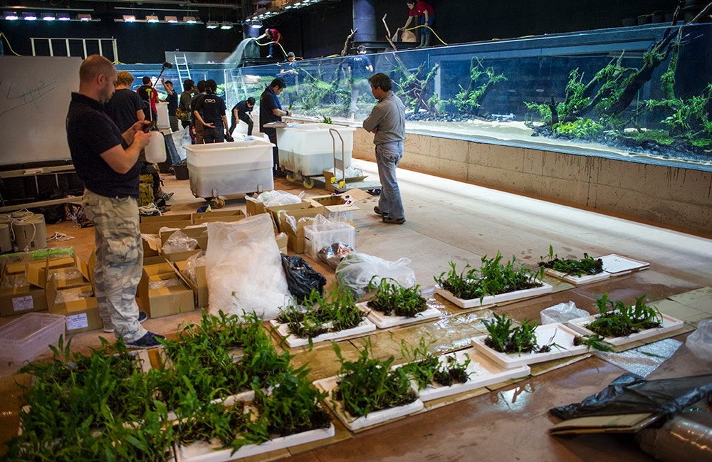  Pedro A. Pina / Ocean&aacute;rio  