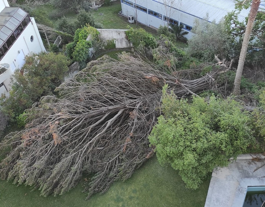 Seguradoras já pagaram 900 ME na região de Leiria